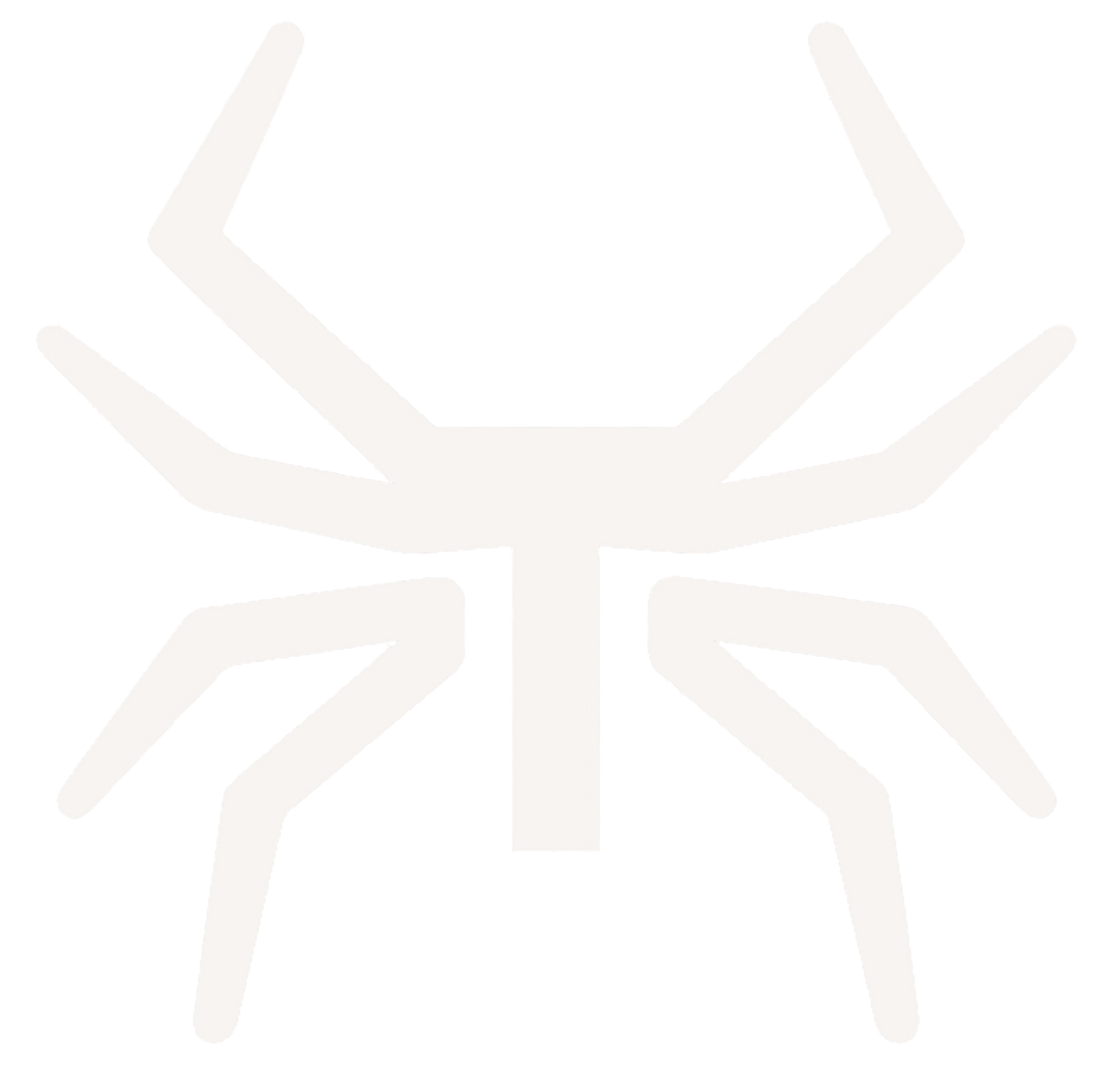 Tarantula Studio
